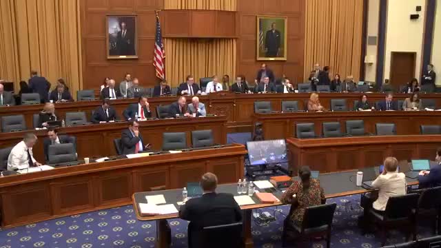 Minneapolis shooting of Renee Goode drives sustained oversight demands during Judiciary markup