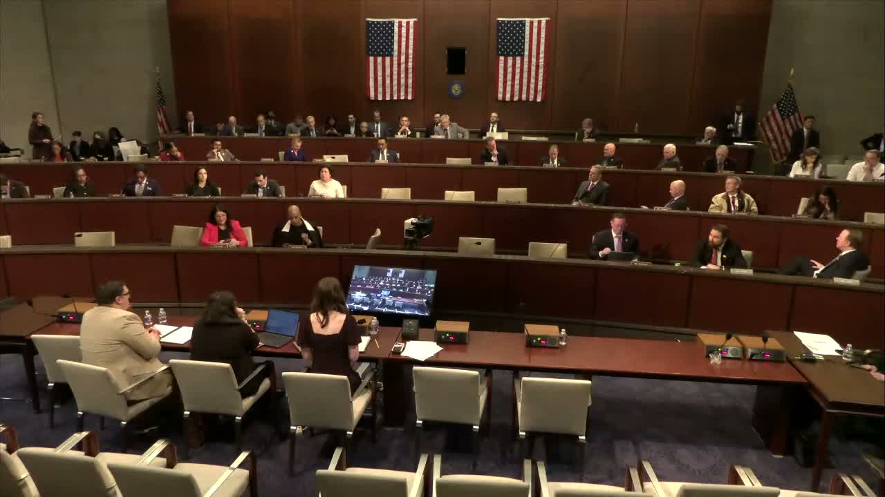 House Oversight panel hears Minnesota lawmakers describe years of fraud, whistleblower retaliation and $9 billion estimate