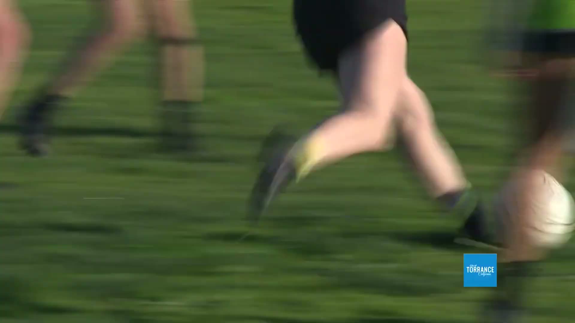 Torrance City announces Jan. 10 walk to mark 20th anniversary of local scholarship foundation