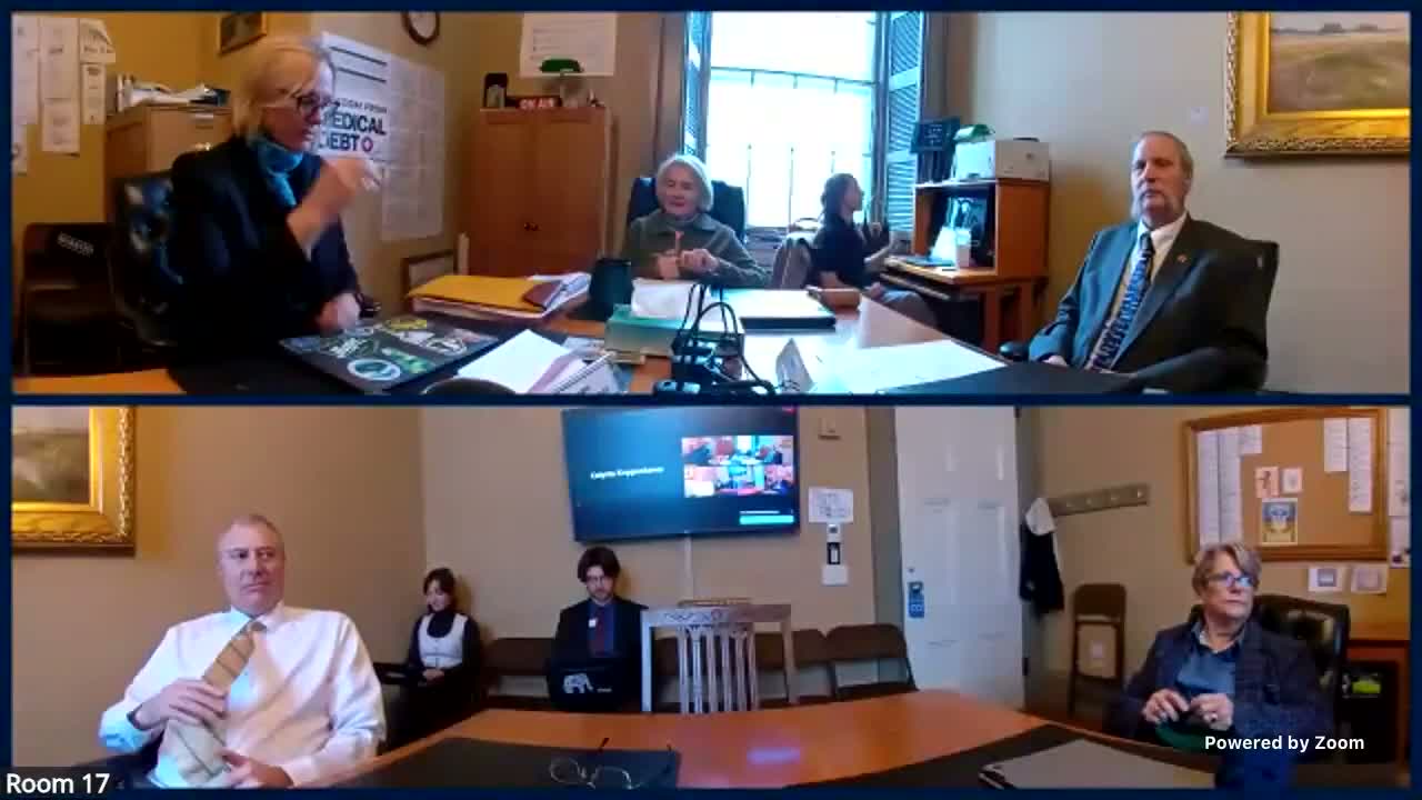 Senate Health and Welfare outlines priorities as new health commissioner frames public‑health agenda