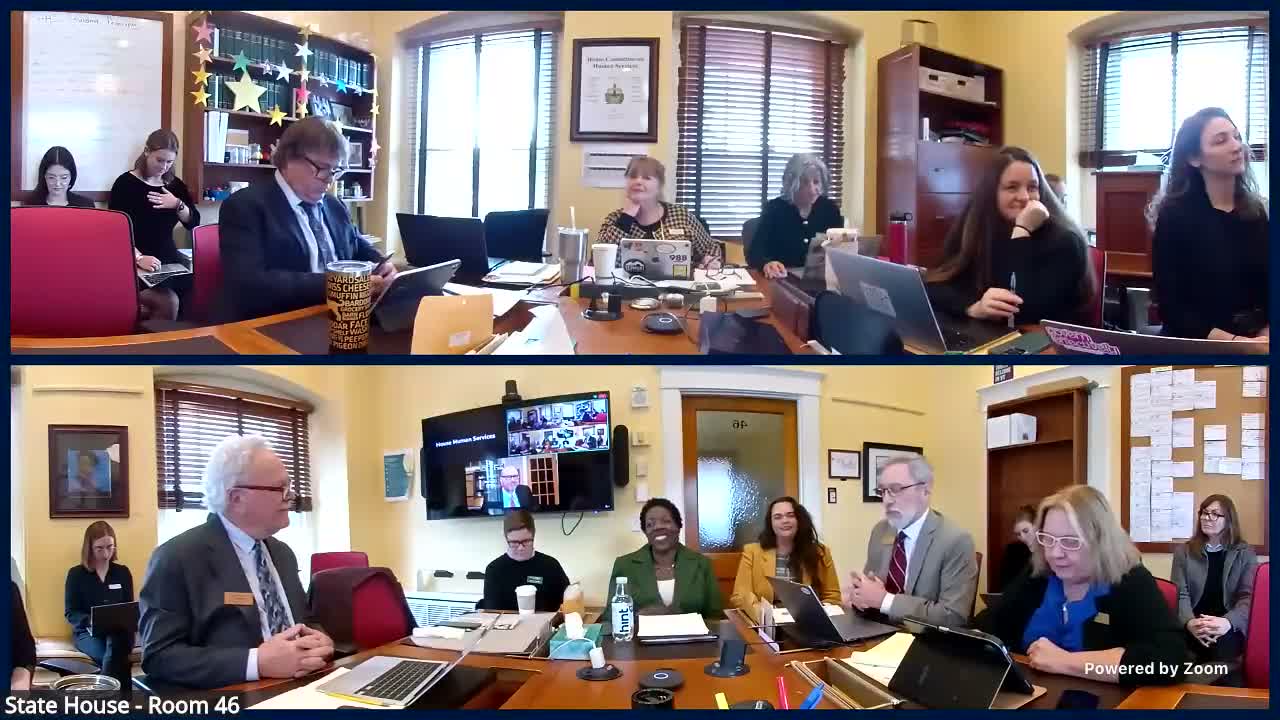 DCF and judiciary flag gaps in supervised visitation access; committee asks for FY27 plan