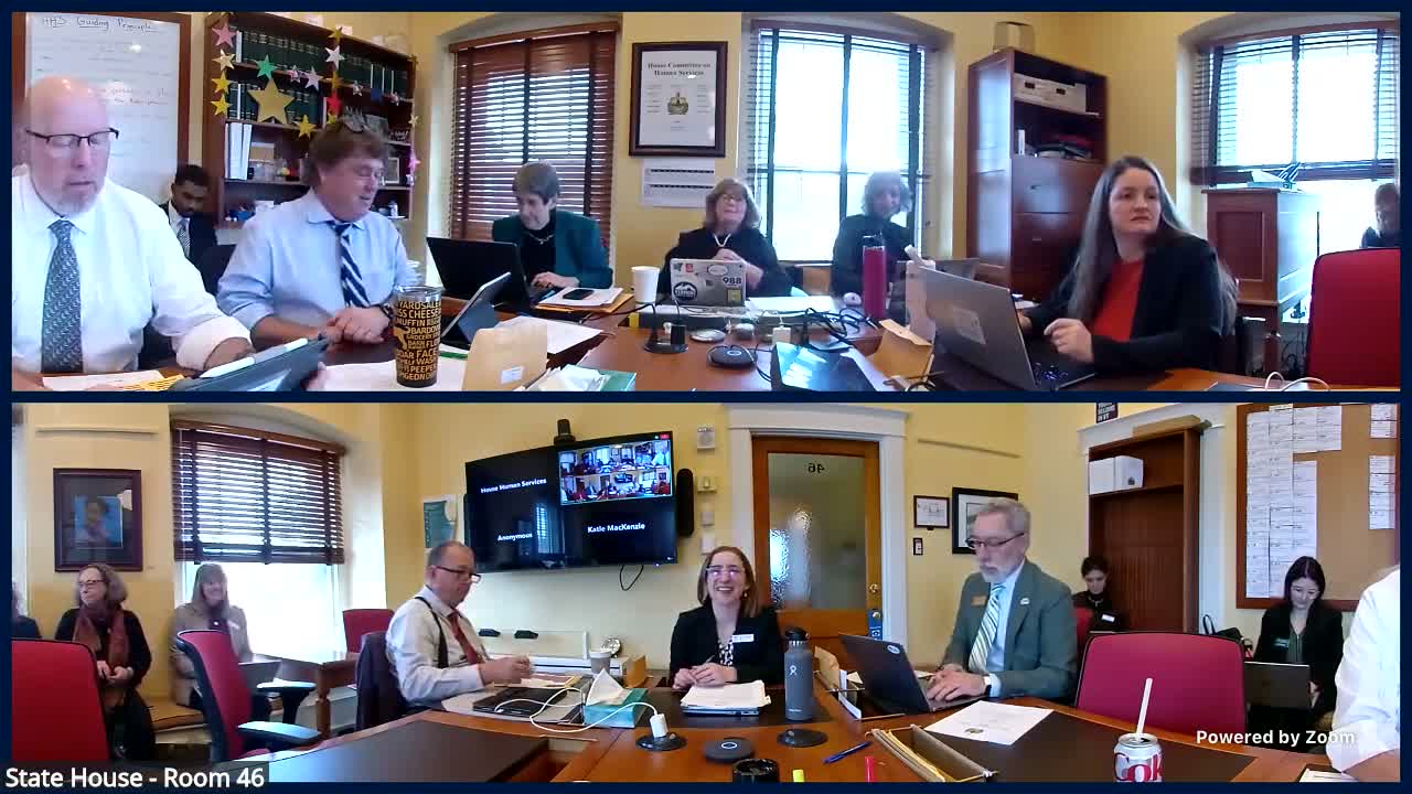 House Human Services hears report urging sustainable funding for supervised visitation programs