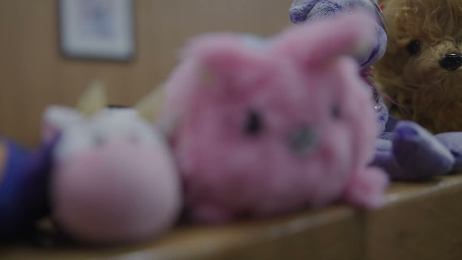 Williamson County courts finalize adoptions for nine children during annual Adoption Day