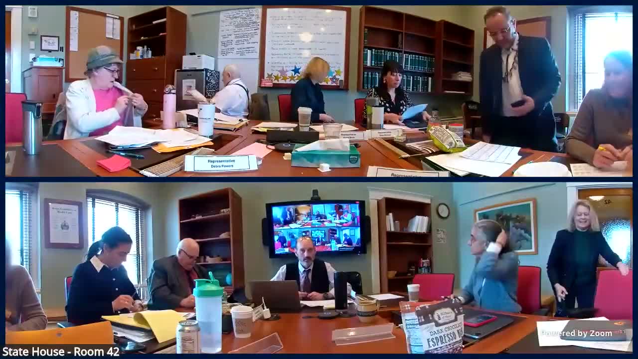 Joint Fiscal Office walks House Health Care committee through 'ups and downs' budget worksheet