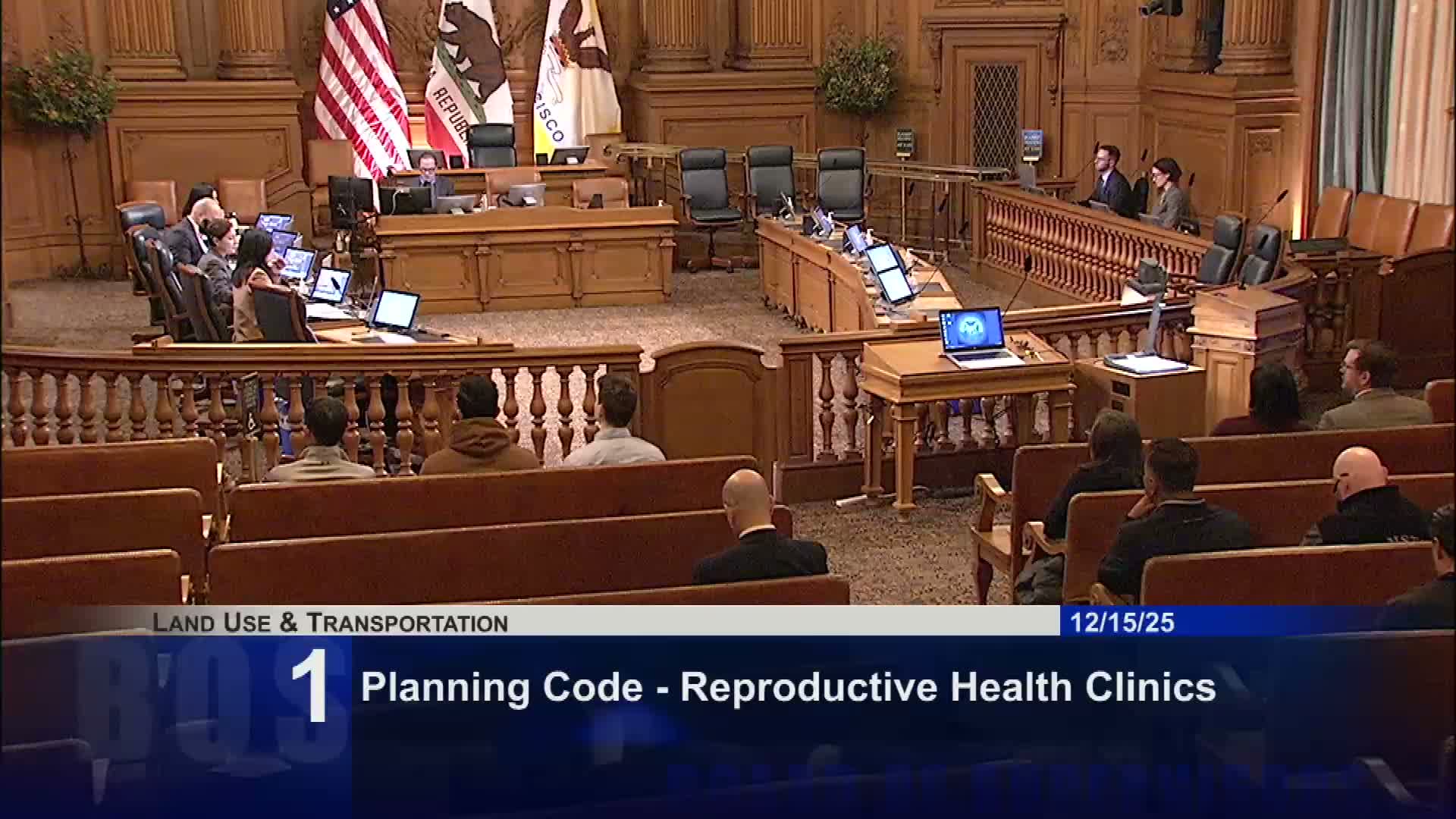 Committee delays vote on driveway-parking rule amid public calls for CEQA review