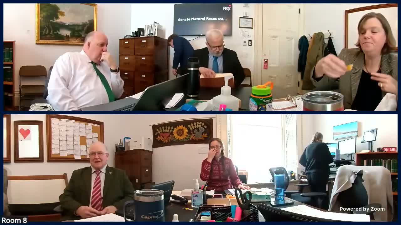 Panel reviews bill to let towns perform technical review of water/sewer connections to speed housing development