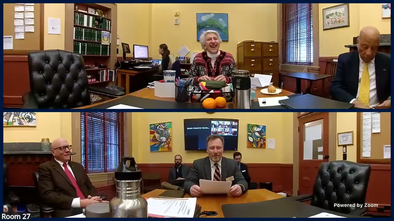 Senate committee hears interim task force report; staff ask to lift six‑meeting cap