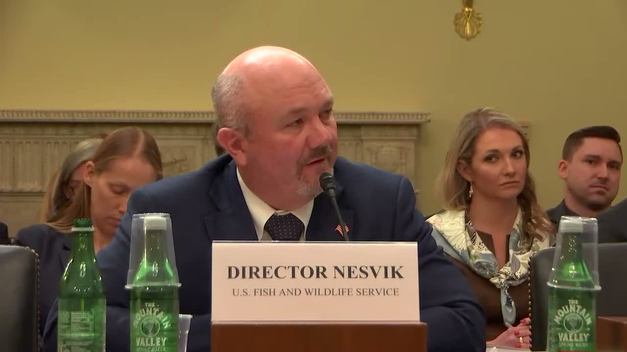 Lawmakers ask Fish and Wildlife to review Colorado wolf translocations after multiple deaths