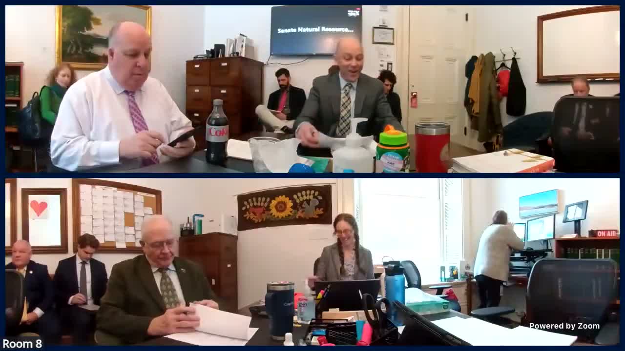 Committee hears safety, affordability and consumer-protection concerns on S.202 balcony solar proposal