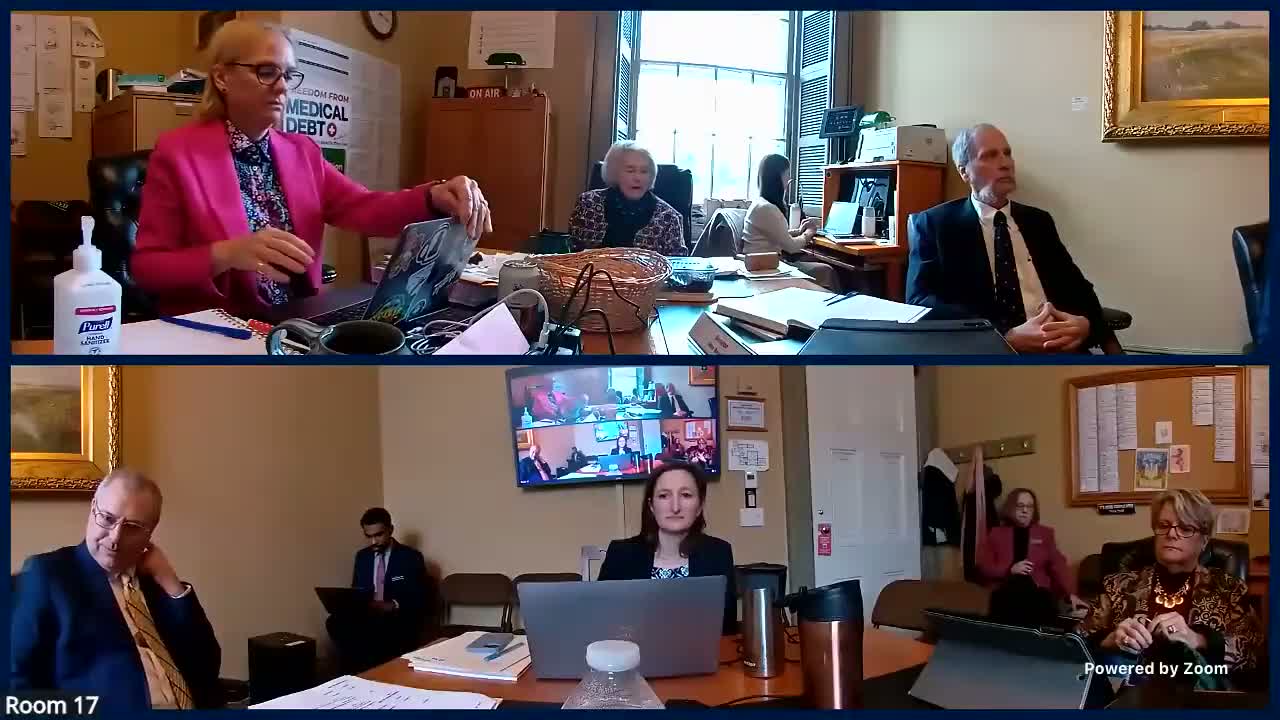 Senate Health & Welfare hears Legislative Counsel review of 2025 health acts, from market unmerging to medical debt relief