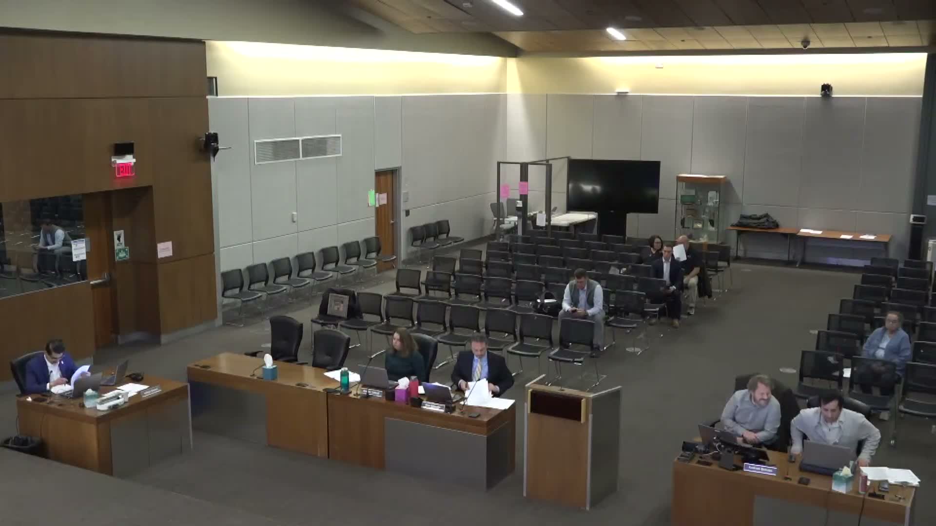 Board elects chair and vice chair, adopts rules of procedure and discusses training