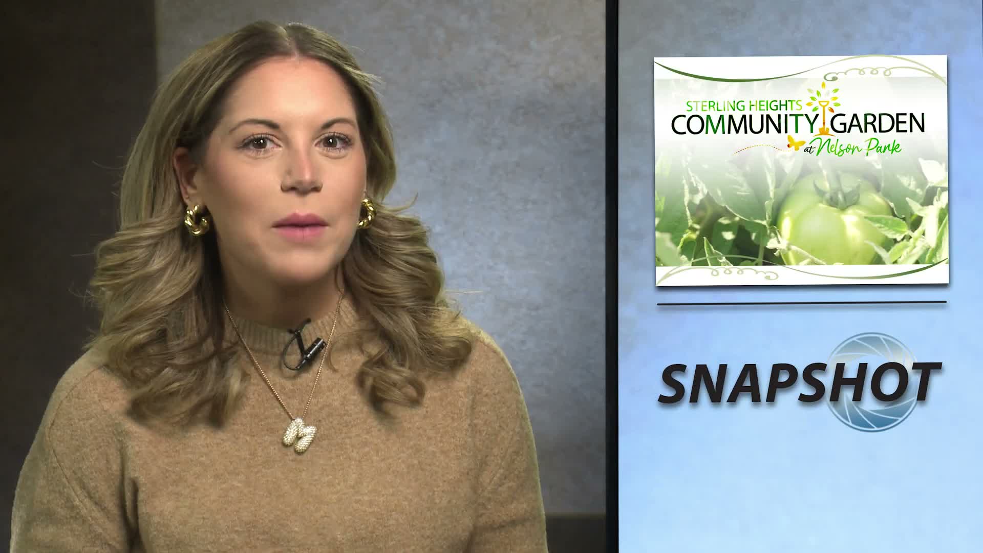 no articles generated