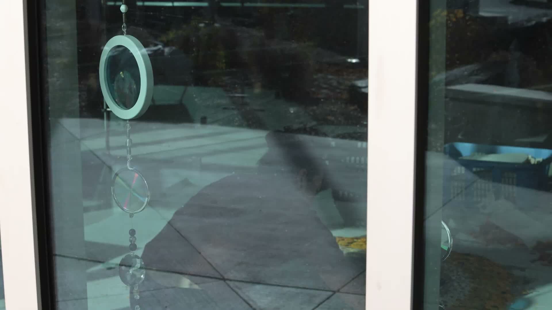 Denver artist installs light-and-flower work at Adams County Human Services Building