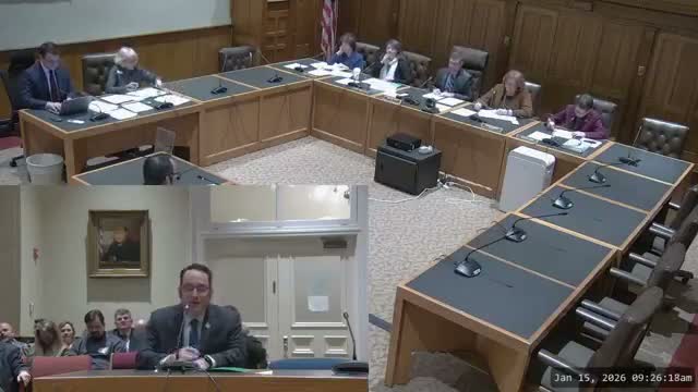 Senator urges oversight of hospital executive pay as committee approves oversight LSR