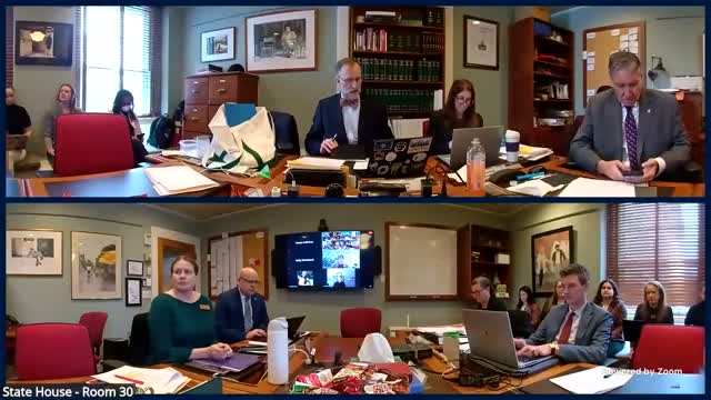 Judiciary Committee Hears Mixed Testimony on Raising Hearsay Exception to 16 in Child‑abuse Cases