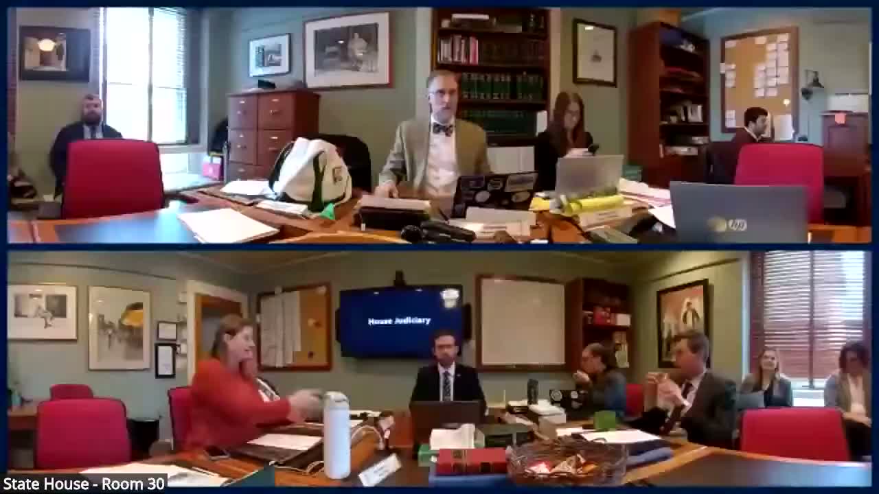 Judiciary Committee reviews H.541 to criminalize interference with voters and election officials