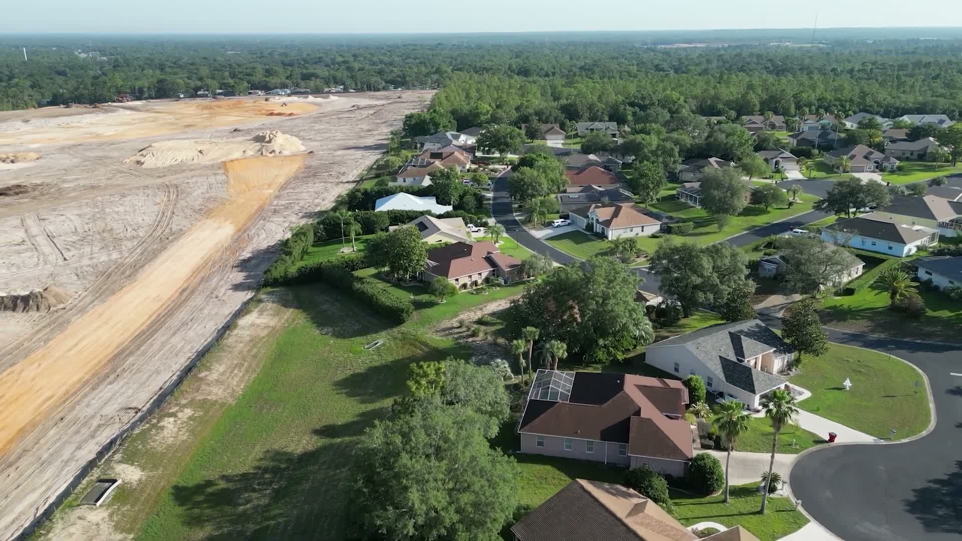 Citrus County officials emphasize tree-protection rules, cite $12,000 fine for unpermitted removal