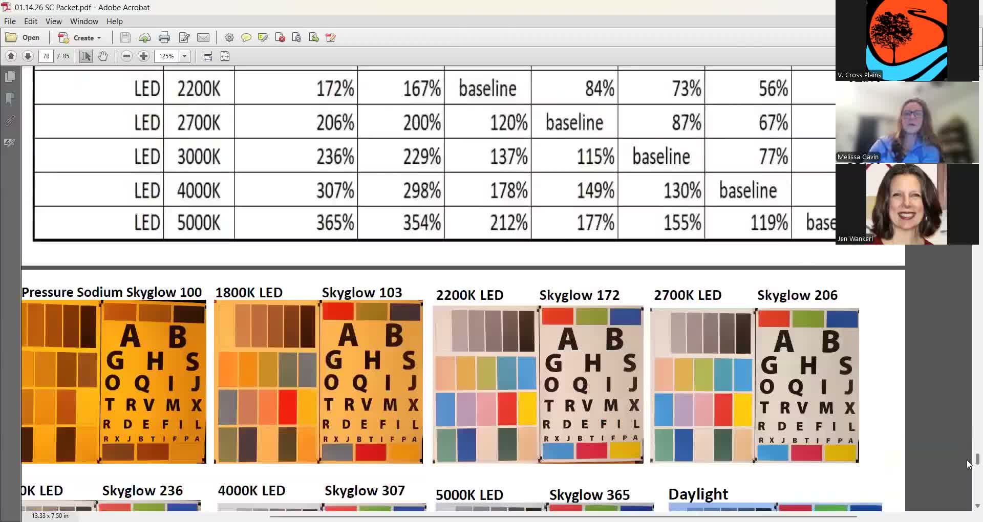 Committee weighs Focus on Energy $1,000, Dane County compost grant and library partnership for public education