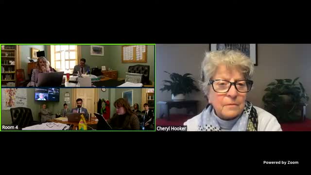 Senate Government Operations reviews bill to shorten tax‑sale redemption and let purchasers secure vacant properties