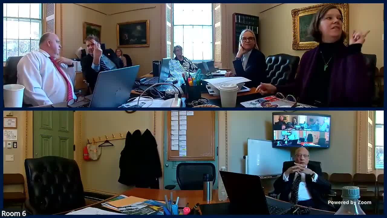 Committee reviews batch of tax bills and administrative anomalies; credit‑card fee bill tied to pending court case