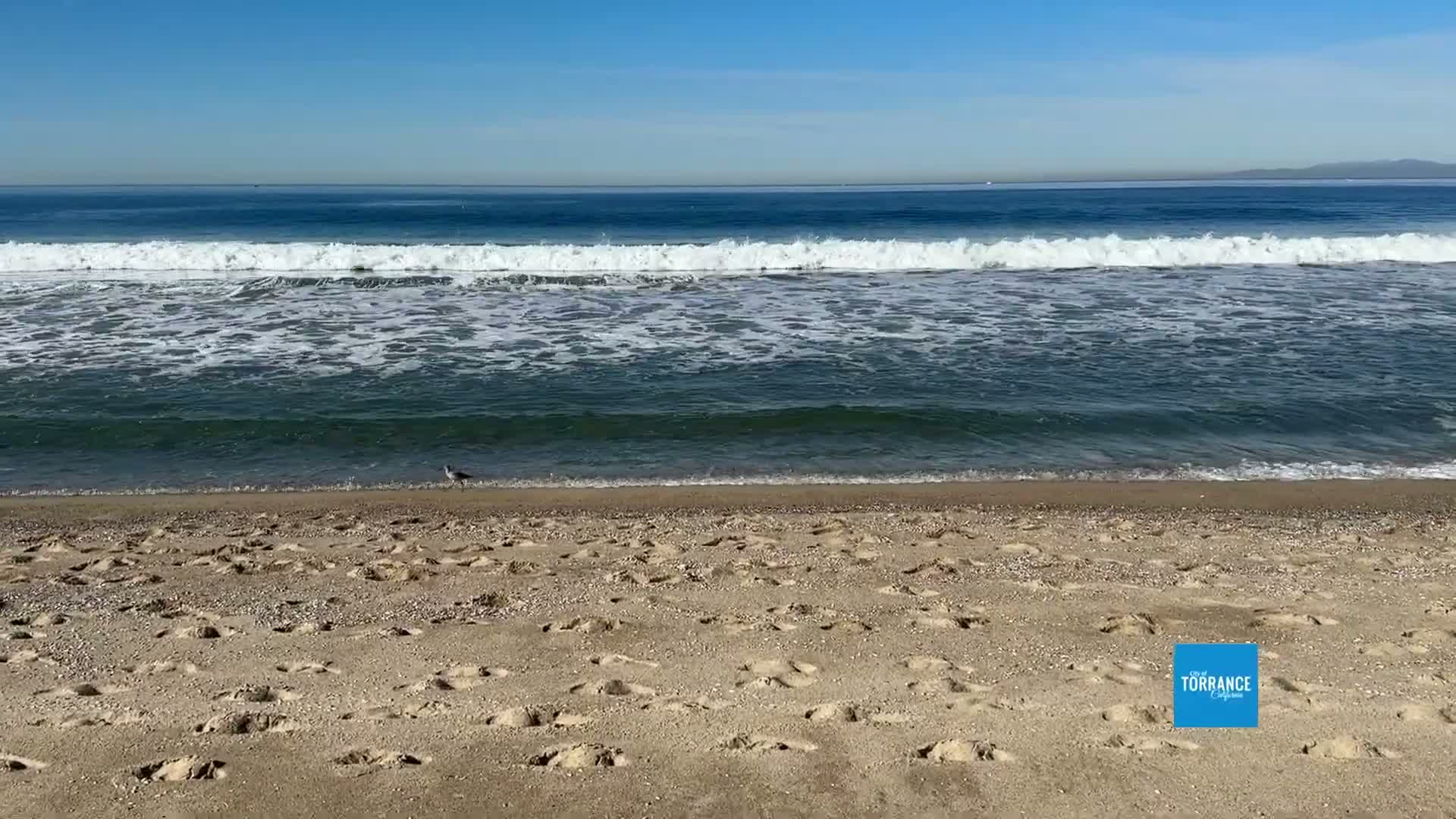 Memorial foundation in Torrance City marks 20 years, continues scholarships for West High seniors