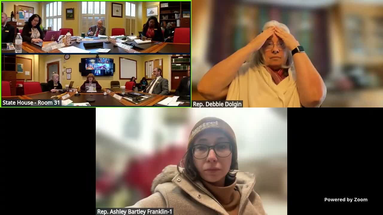 Human Services chair briefs committee on housing system: limited shelter beds, program gaps and designation issues