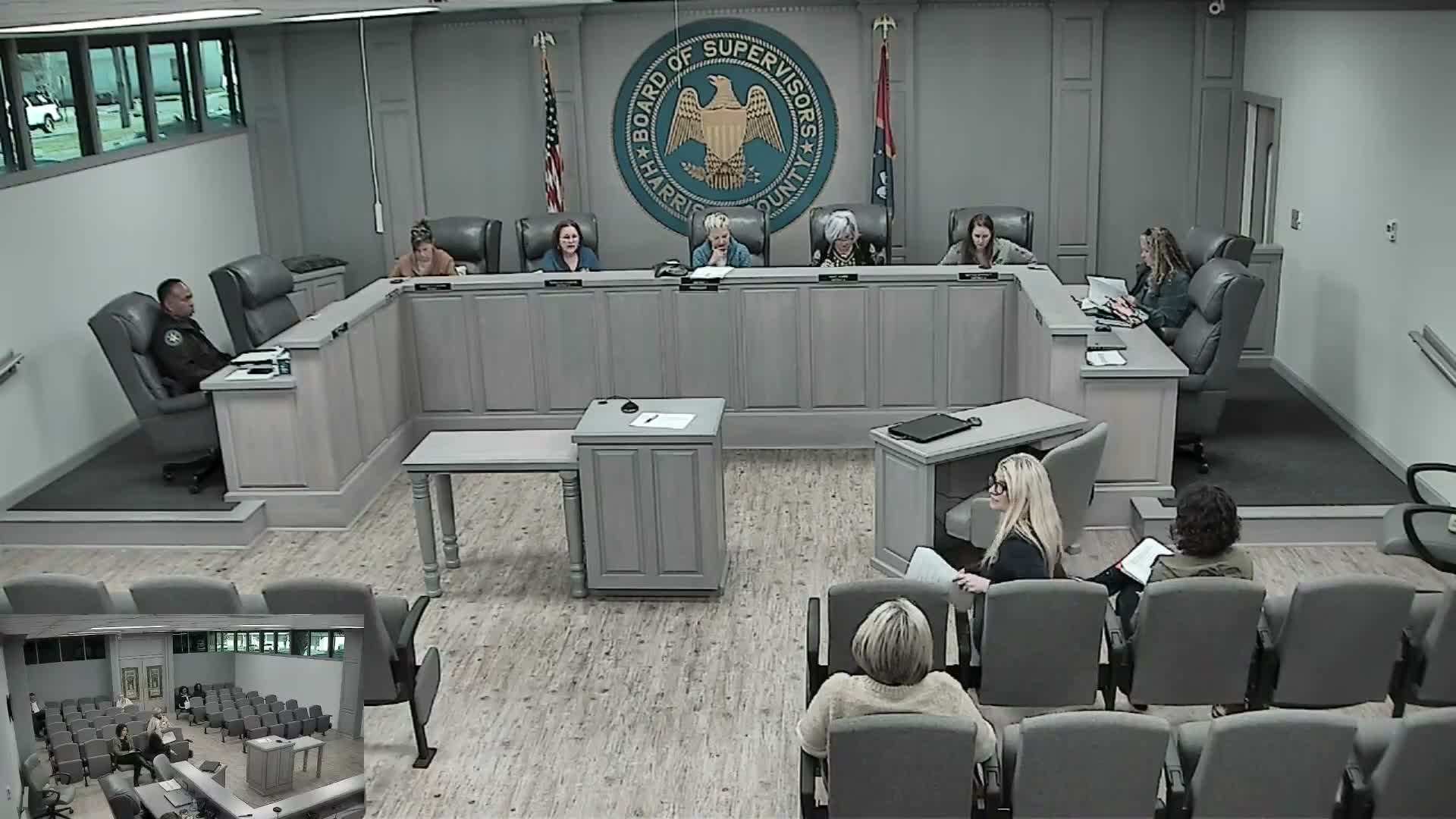 Blue Ribbon Committee forms ad hoc group for vulnerable adults and hears hospital concerns about infants discharged during withdrawal