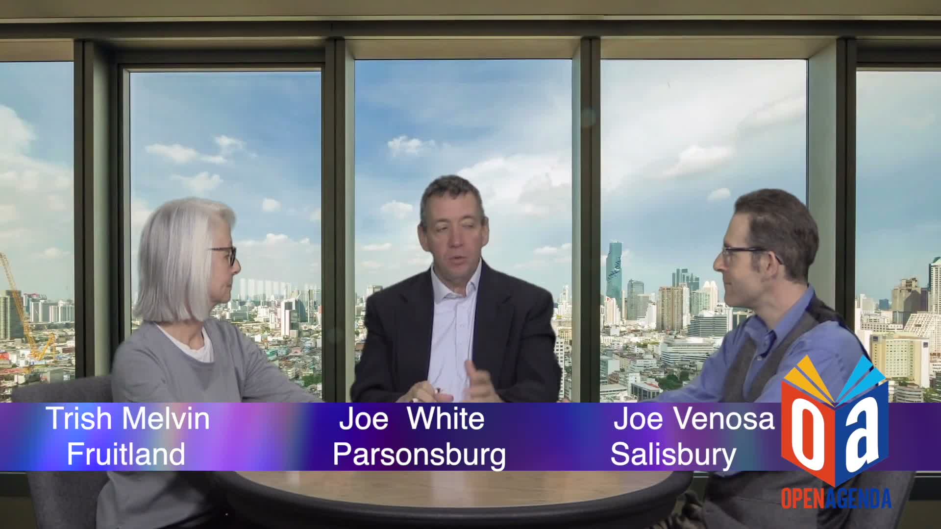 Salisbury debate over ranked-choice voting centers on survey reliability and appointment reform