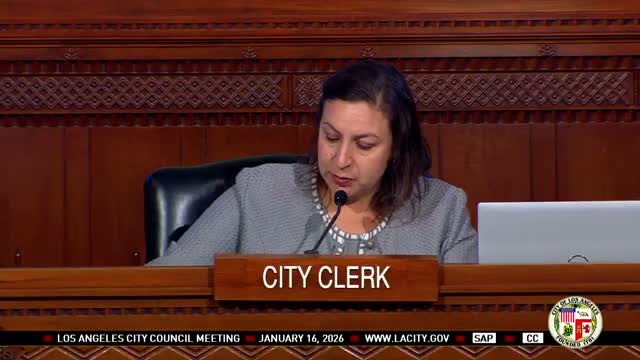 Council confirms appointments to statute and police commissions; public objections voiced