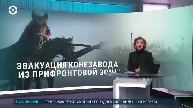 Cold and frozen equipment halt evacuation at Zaporizhzhia horse farm amid shelling