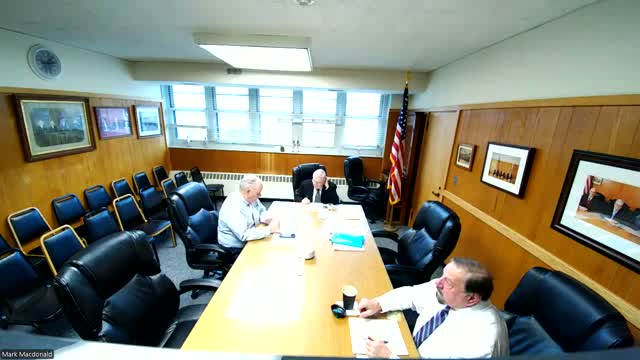 Director Kroner updates commissioners on RSVP donations, Tyler portal rollout and Wallace recreation capital plan