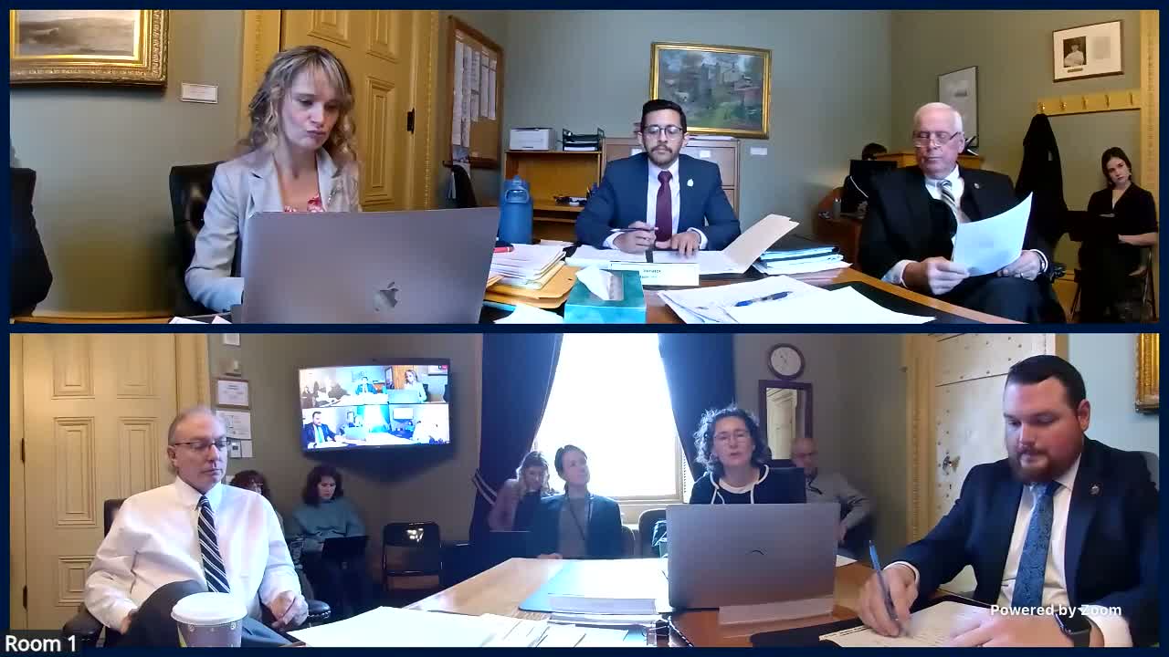 Senate Judiciary debates bill to require visible officer identification, limit disguises and weigh federal preemption