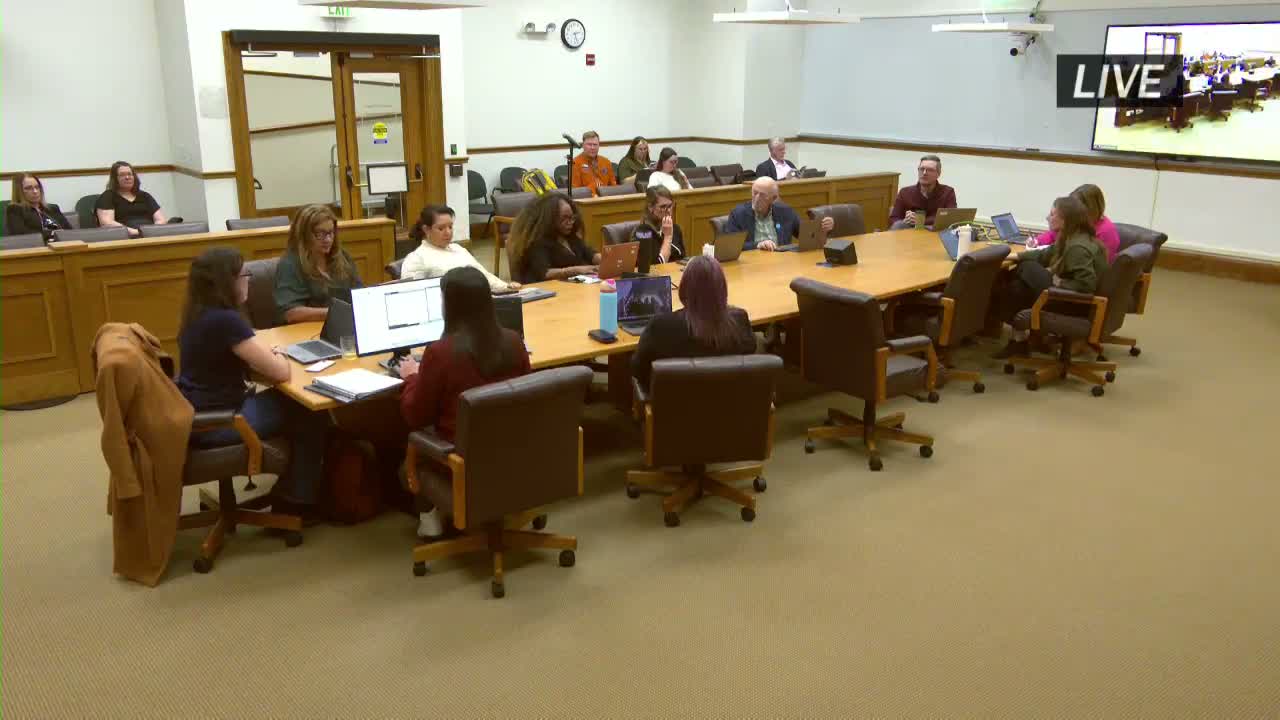 Committee hears briefing on supportive housing contracts that aim to serve roughly 650 ...