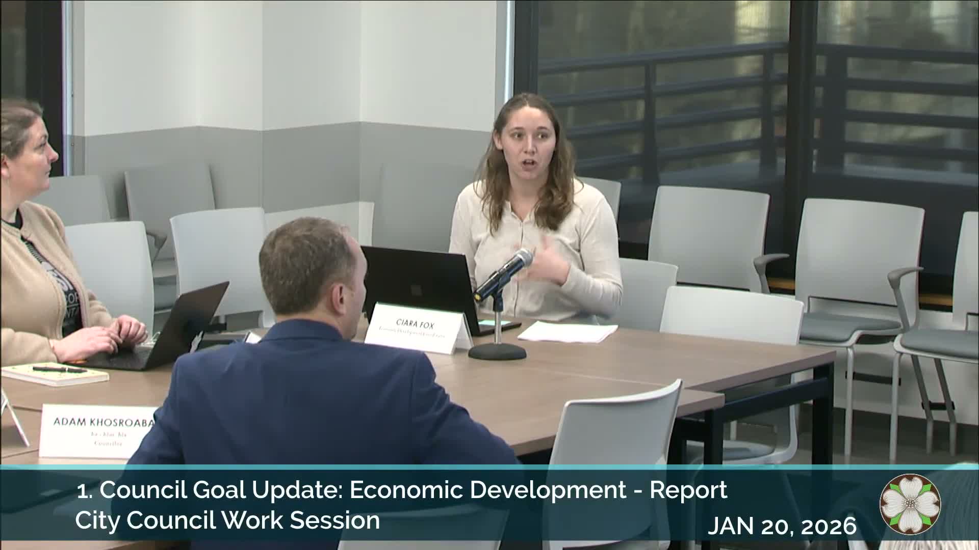 Council reviews economic-development metrics, business survey and placemaking strategy