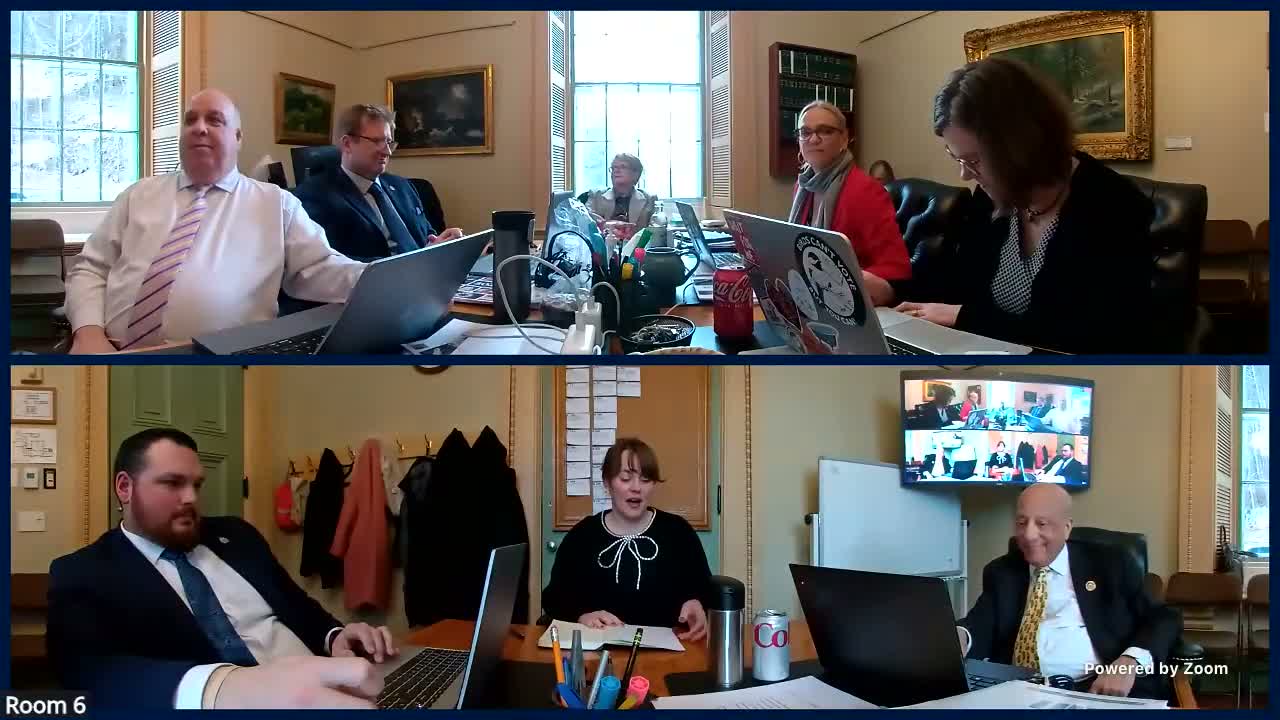 Senate panel reviews S.204 to limit utility disconnections and study ratepayer protections