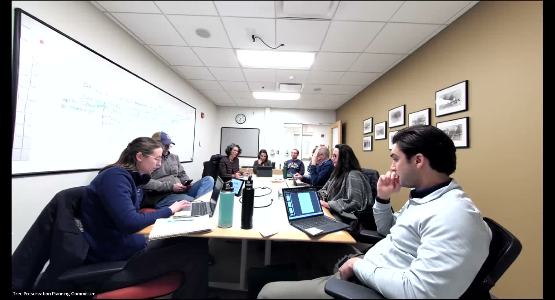 Needham committee endorses framework for tree mitigation fees, defers standalone permit charge