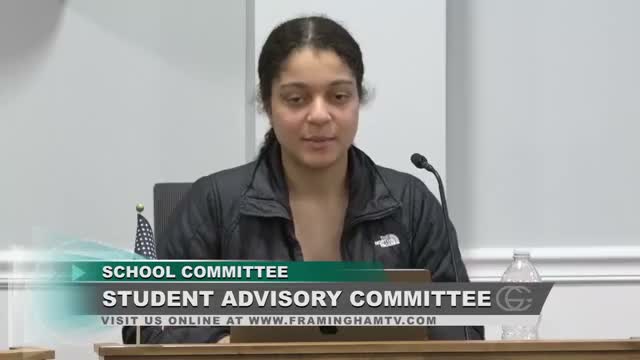 School committee approves summer program expansion and FHS program changes amid budget fight