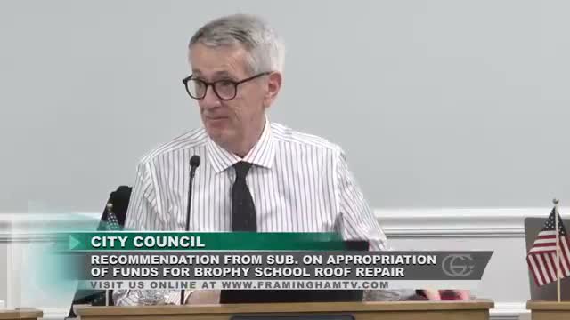 Council advances first readings to seek MSBA reimbursement for Brophy and Potter Road school roofs