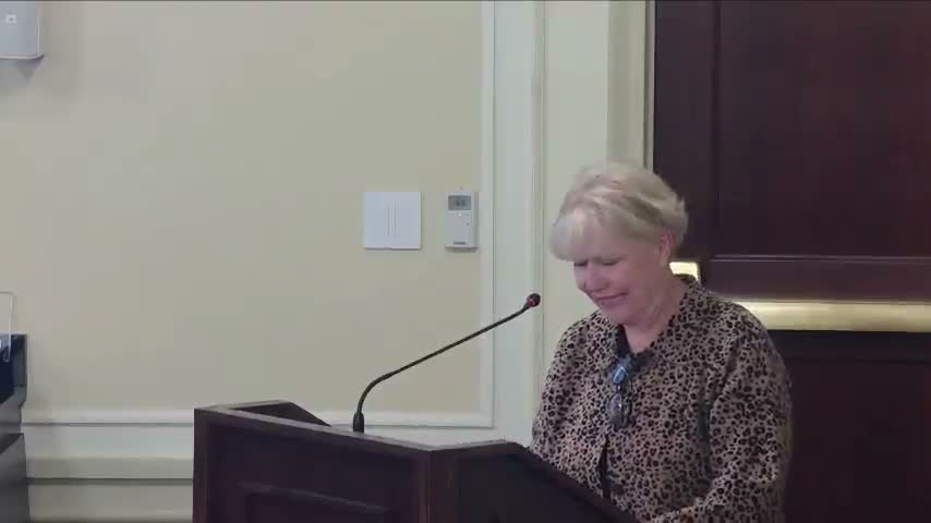 Statewide Charter School Board seeks funding for Horizon online consortium and authorizer functions