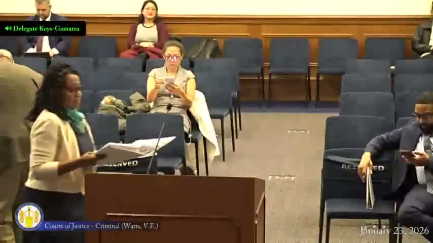 Subcommittee backs substitute for HB118 to broaden access to copies of discovery, adds dash-cam/body-worn camera language