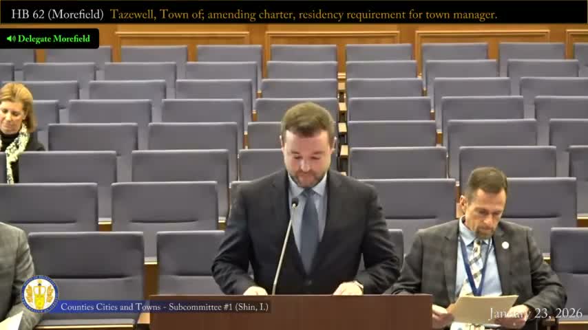 Subcommittee moves a slate of town-charter and local-government bills to the full committee; several items tabled