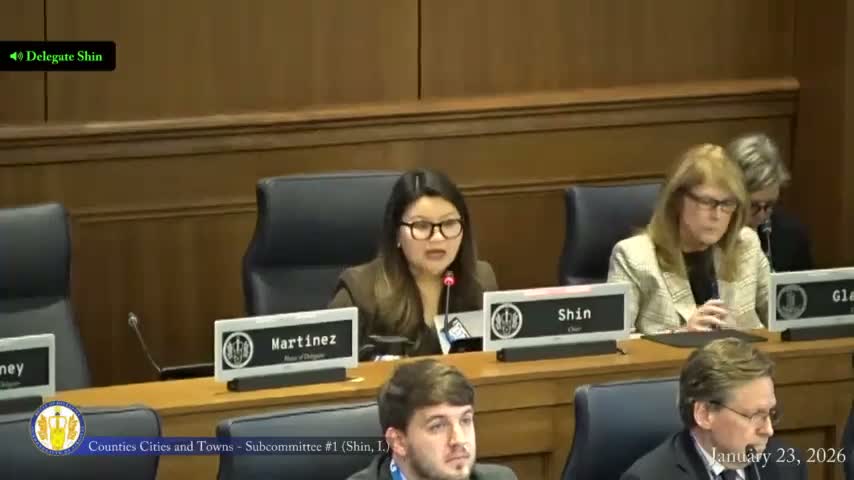 Subcommittee backs Virginia Beach charter change to single-member districts after referendum