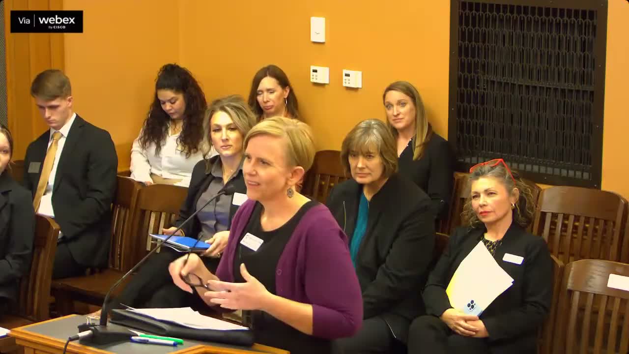 Child‑advocacy centers and domestic‑violence coalition urge $2.7 million for CACs, warn closures if not funded