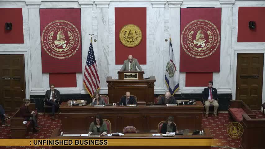 Votes at a glance: WV Senate approves mineral protections, consolidates preparedness classes, clarifies sheriff pay and adopts two resolutions