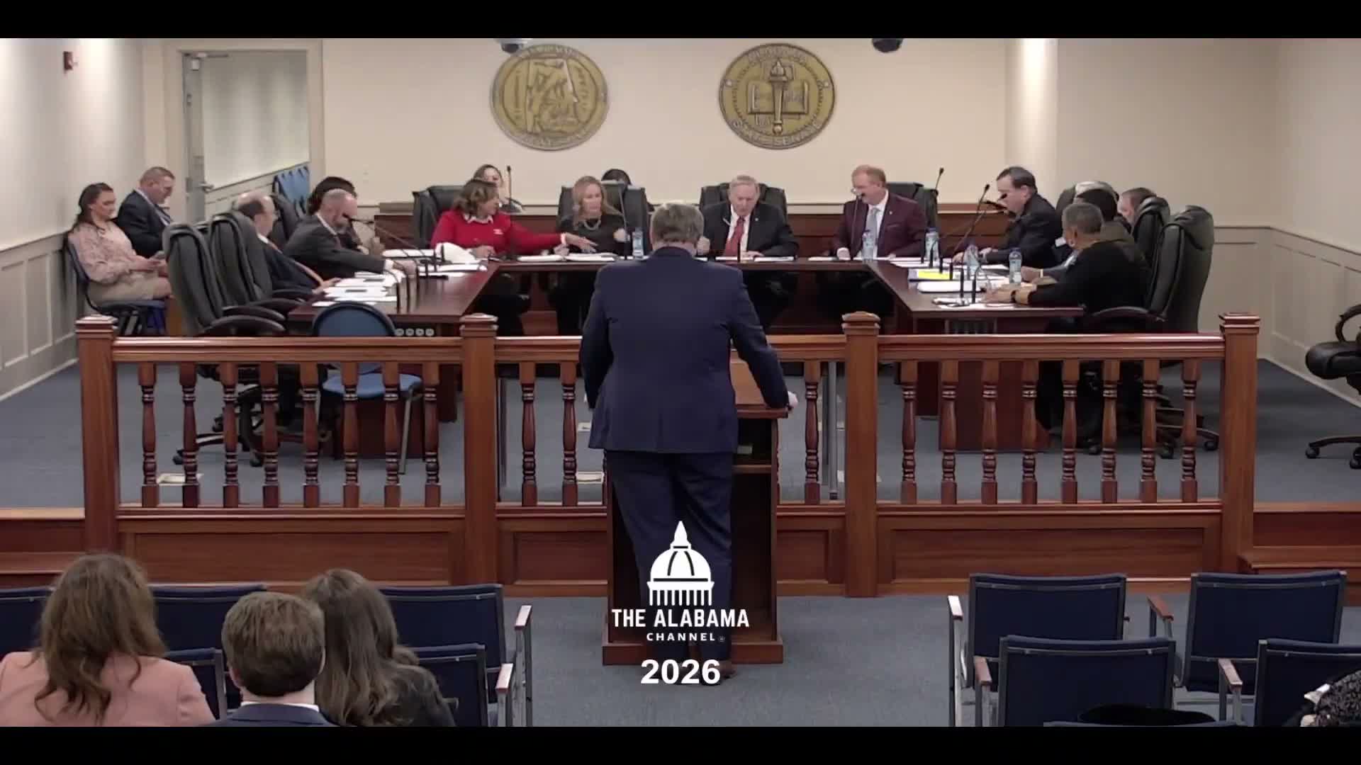 Committee advances multiple bills: appointments, contract review, licenses, disability designation and technical fixes