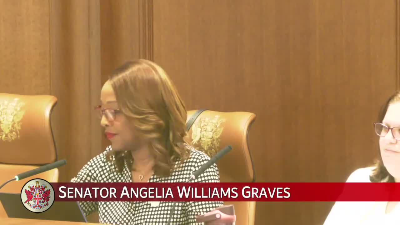 Senate panel clears a slate of charter and local‑government housekeeping bills