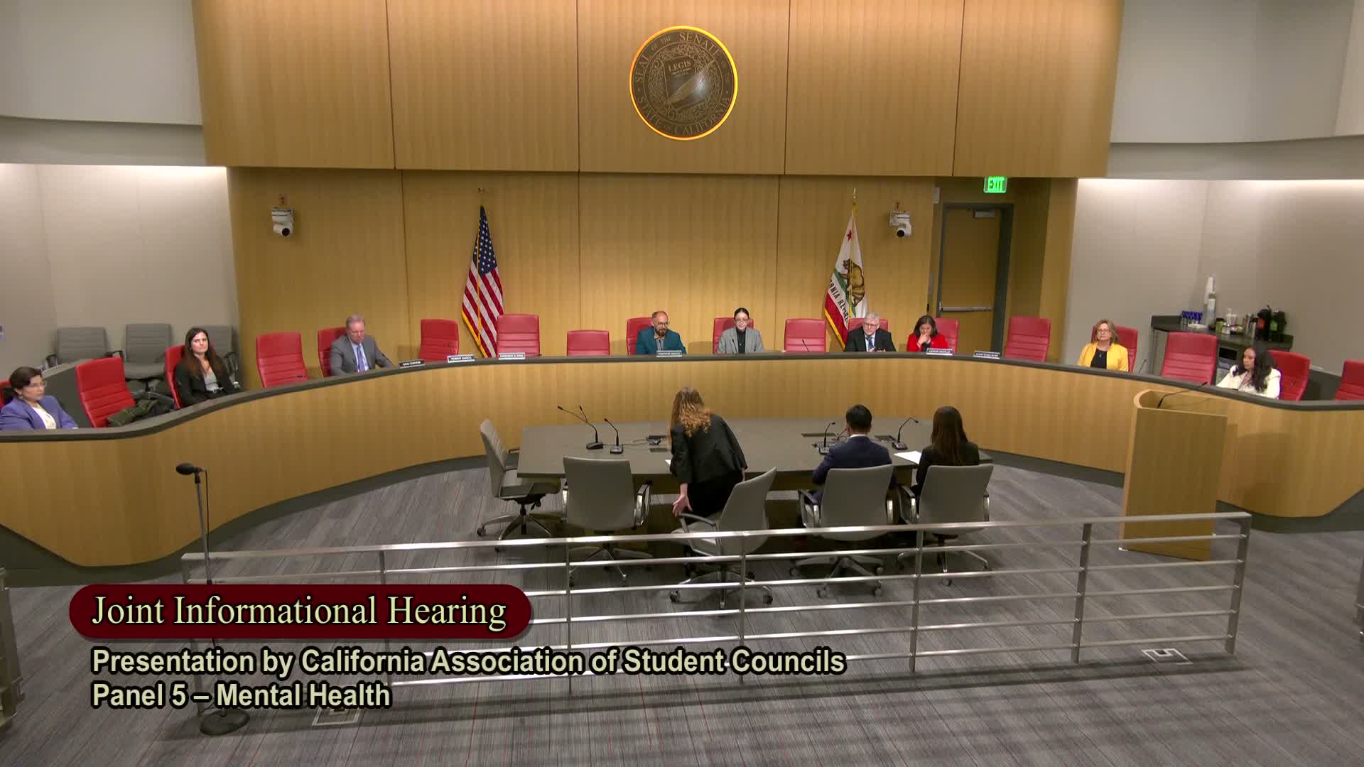 Students propose short, active mental‑health periods in middle/high schools