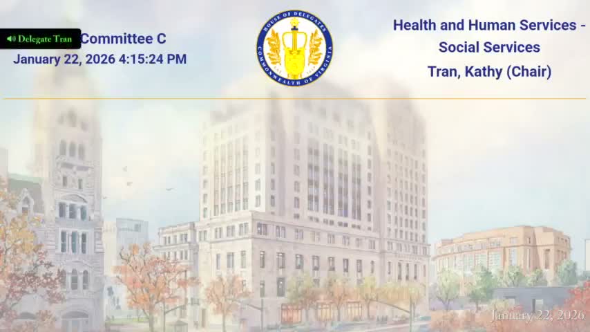 Subcommittee sends substituted opioid/fentanyl response bill to appropriations, designating VDH as lead agency