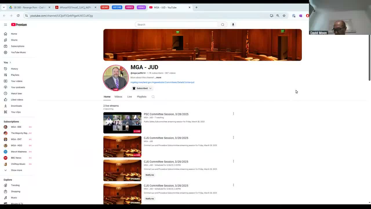 House subcommittee moves senate deepfake-revenge pornography bill forward, keeps intent requirement and civil defamation remedy