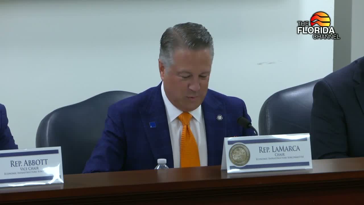 Committee approves amendment to Jacksonville Aviation Authority charter (HB 4045)